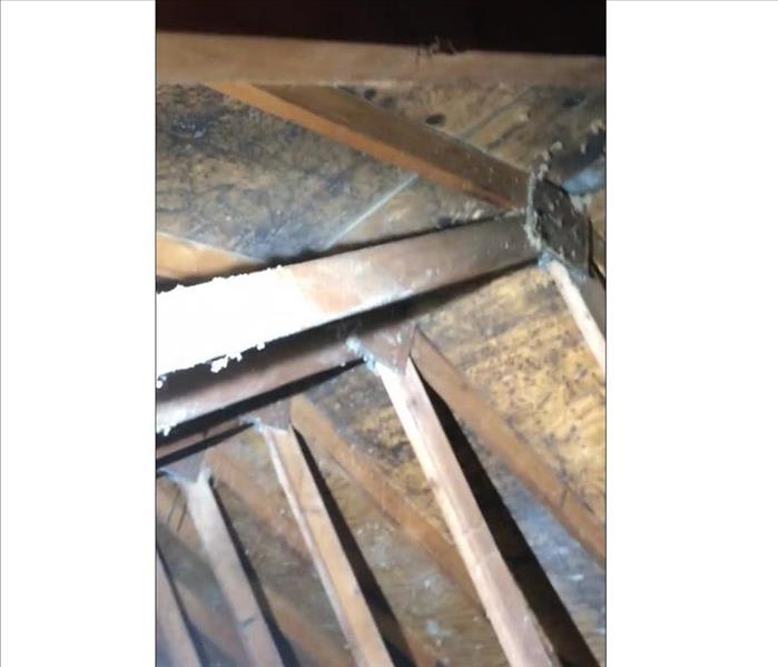 Mold growth on the interior of an attic on the sheathing