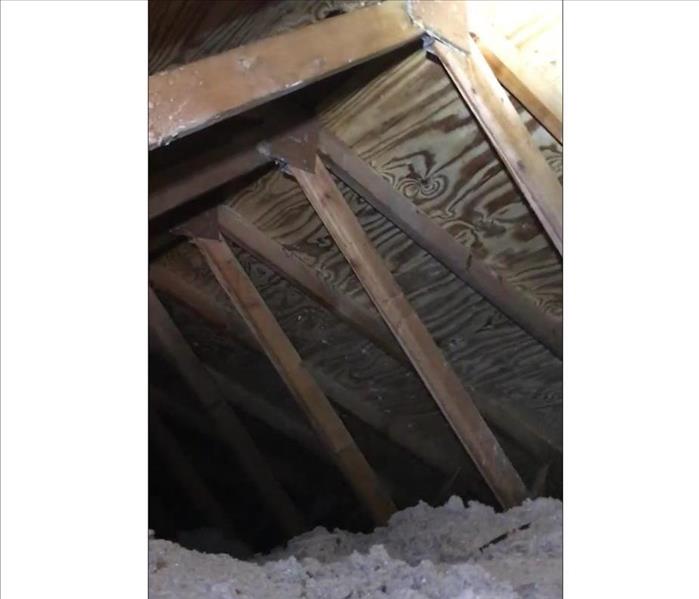 same area of the attic, the wood is all clean of mold