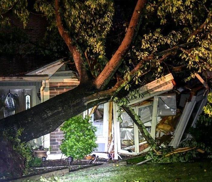 tree that has fallen on the roof of a home causing damage.