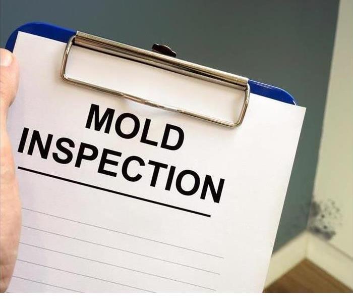 Picture of clip board with paper that says mold inspection